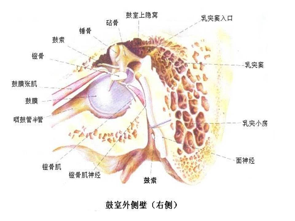 幻灯片47