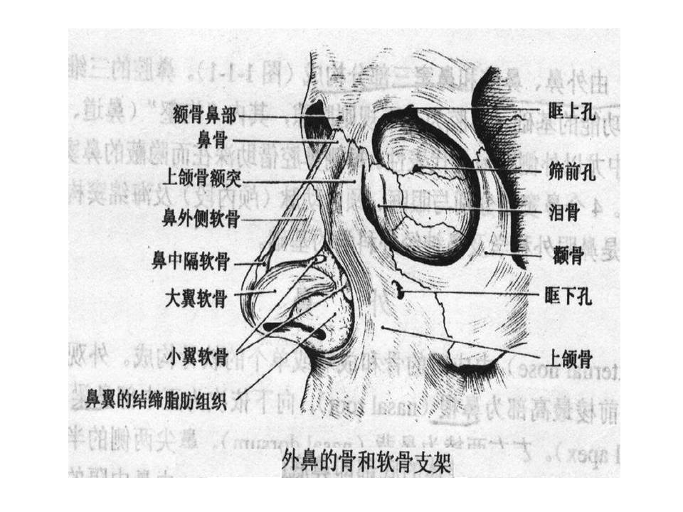 幻灯片4