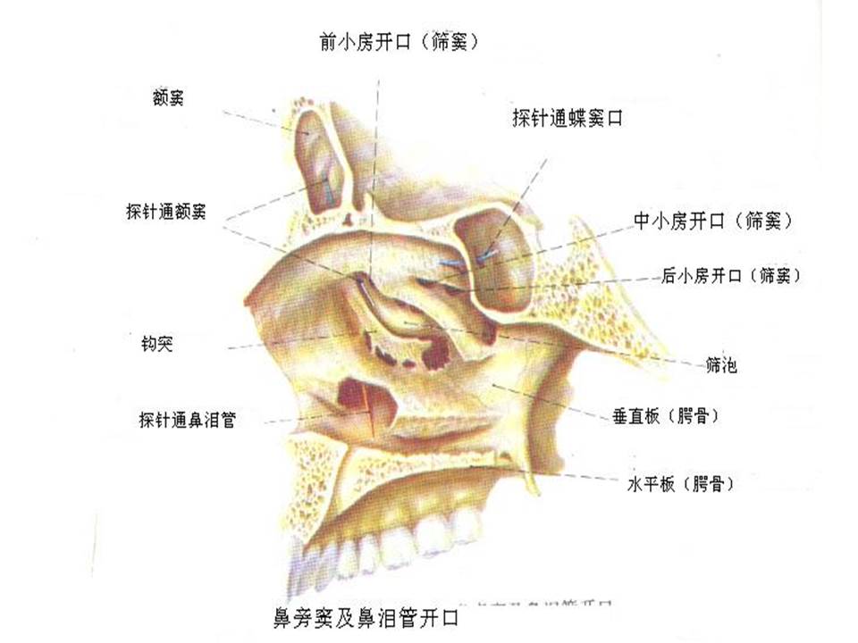 幻灯片15