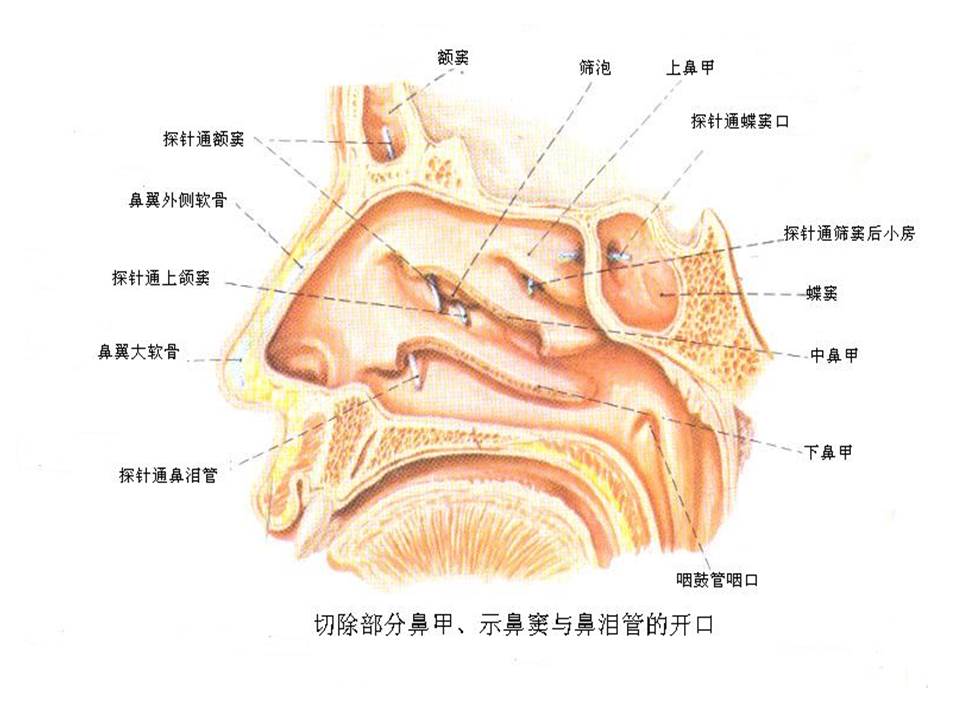 幻灯片14