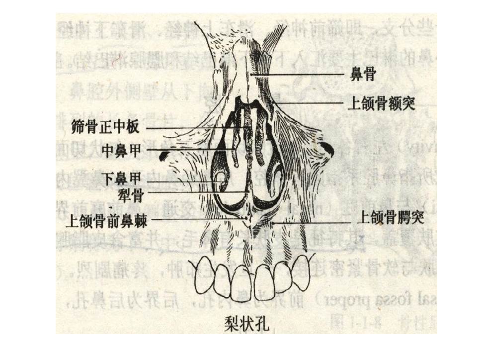 幻灯片5