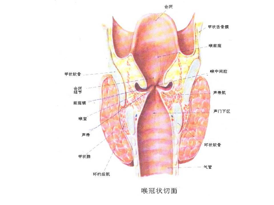 幻灯片33