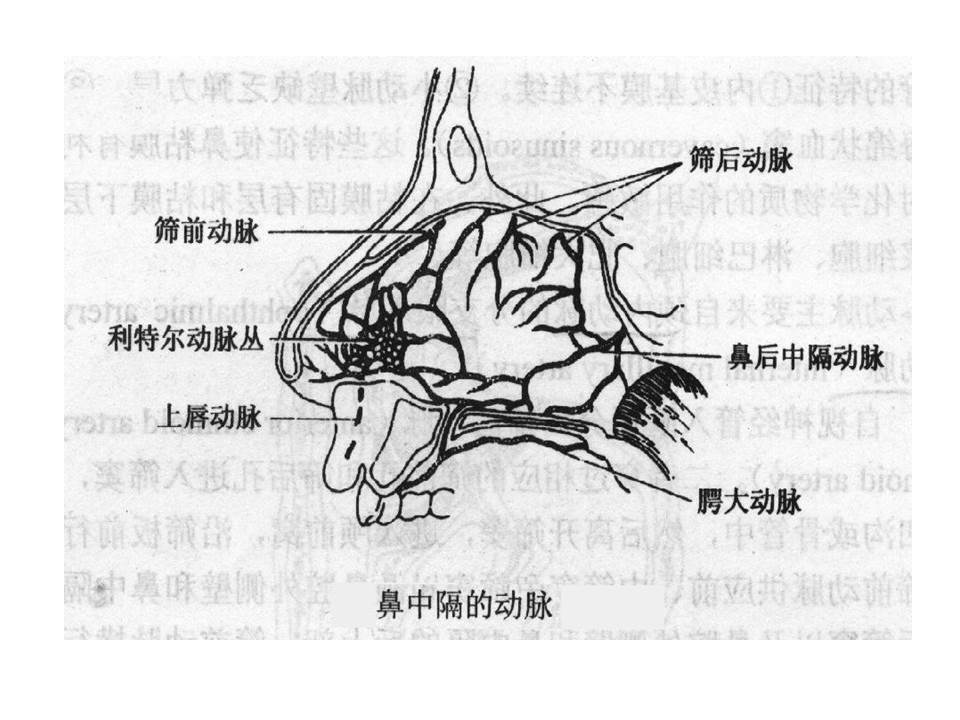 幻灯片9