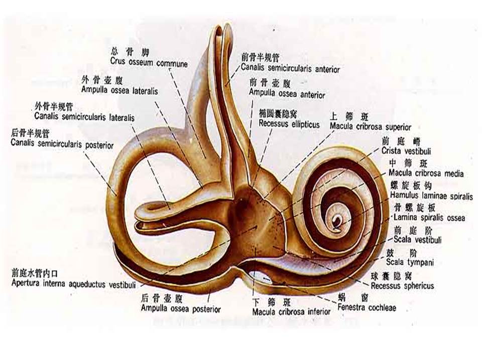 幻灯片56