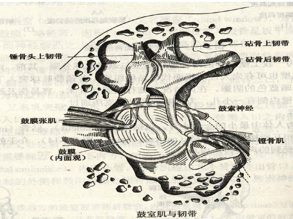 幻灯片50