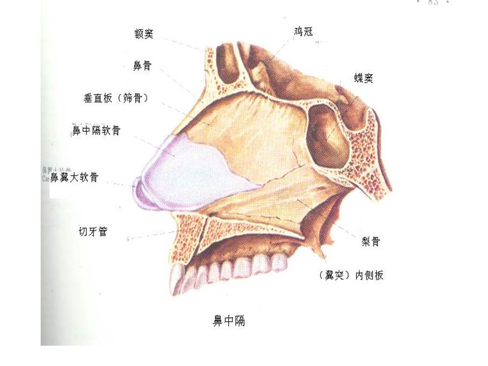 幻灯片6