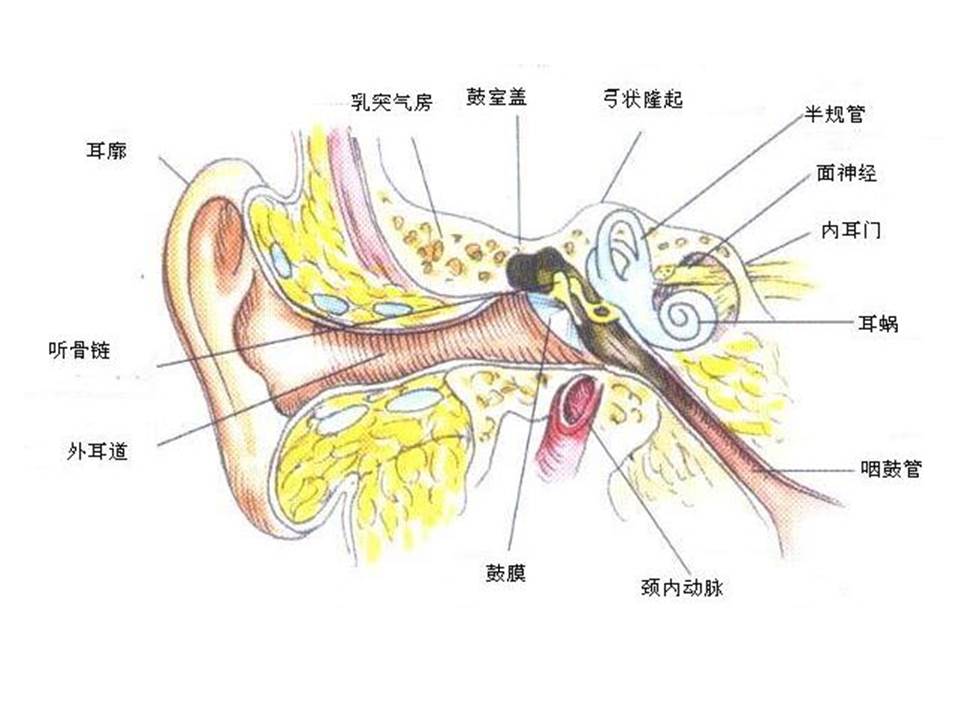 幻灯片39