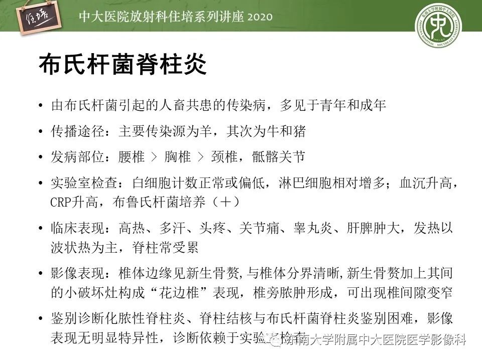 【PPT】脊柱骨源性病变影像分析思路及应用