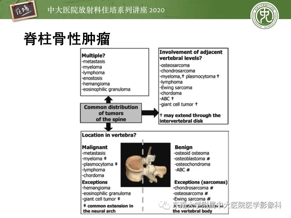 【PPT】脊柱骨源性病变影像分析思路及应用