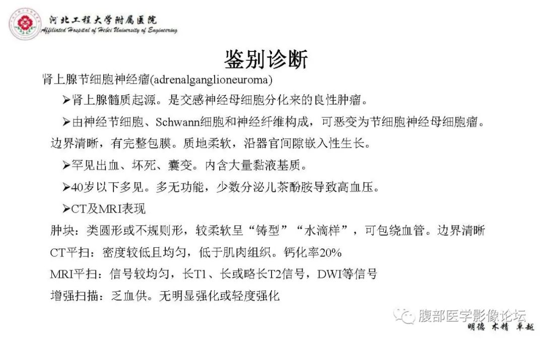 【PPT】肾上腺神经鞘瘤