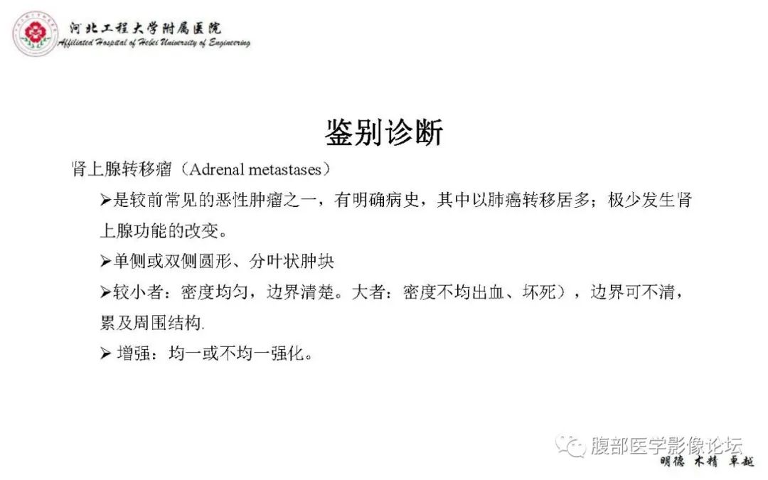 【PPT】肾上腺神经鞘瘤