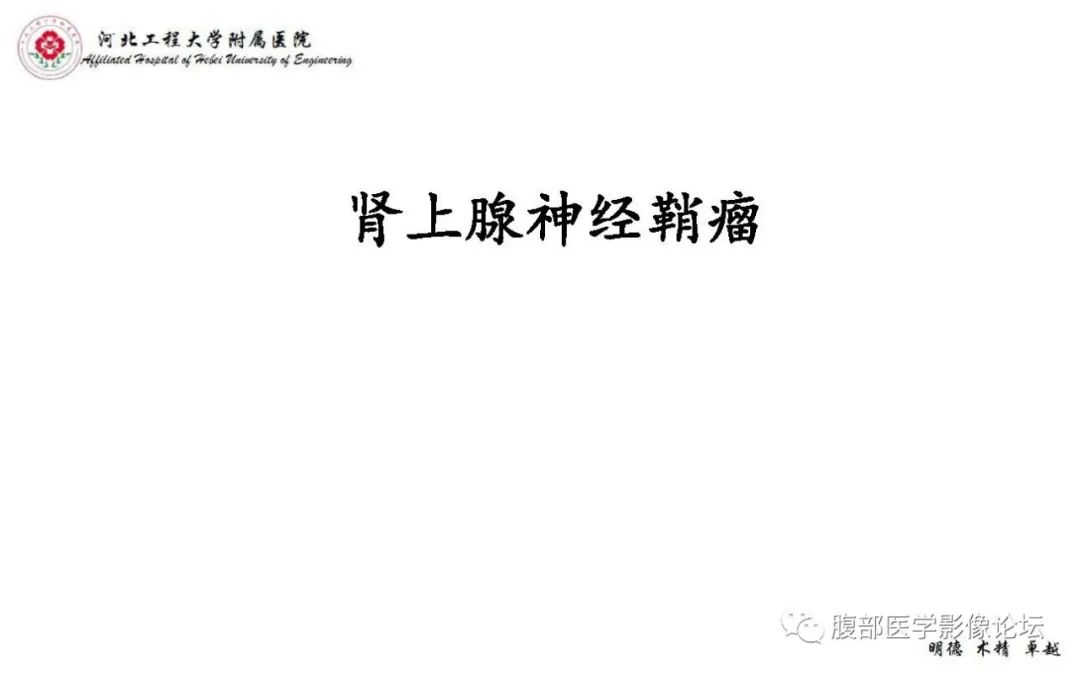 【PPT】肾上腺神经鞘瘤