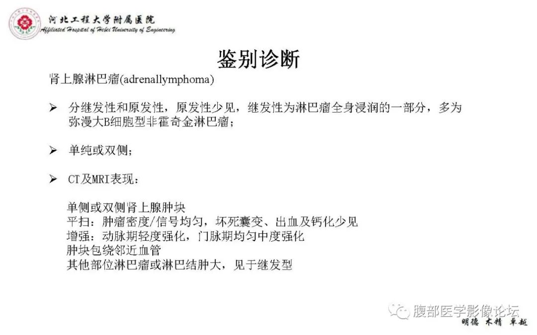 【PPT】肾上腺神经鞘瘤