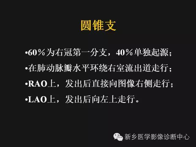 【PPT】冠状动脉造影正常解剖