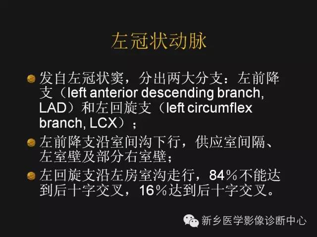【PPT】冠状动脉造影正常解剖