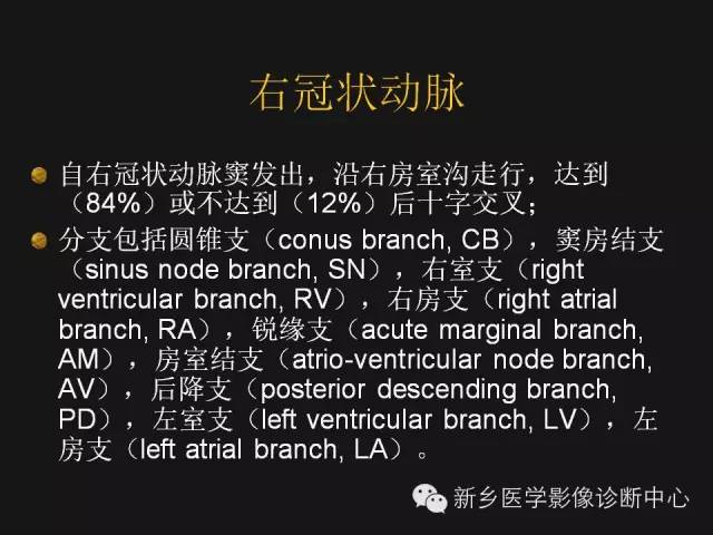 【PPT】冠状动脉造影正常解剖