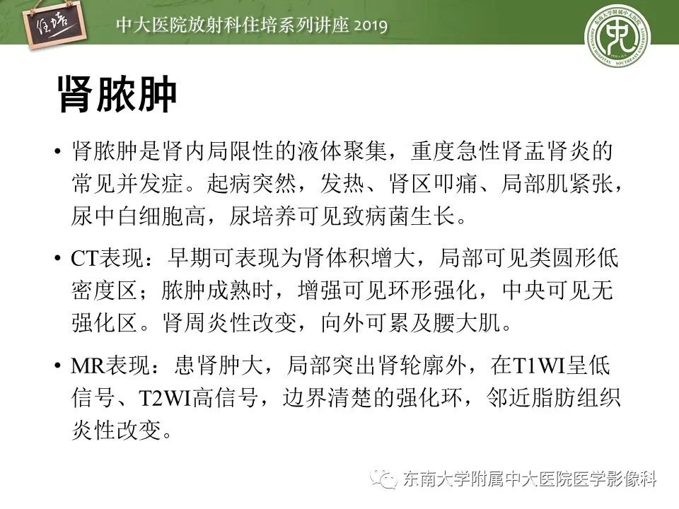 【PPT】肾脏感染性病变的影像学表现