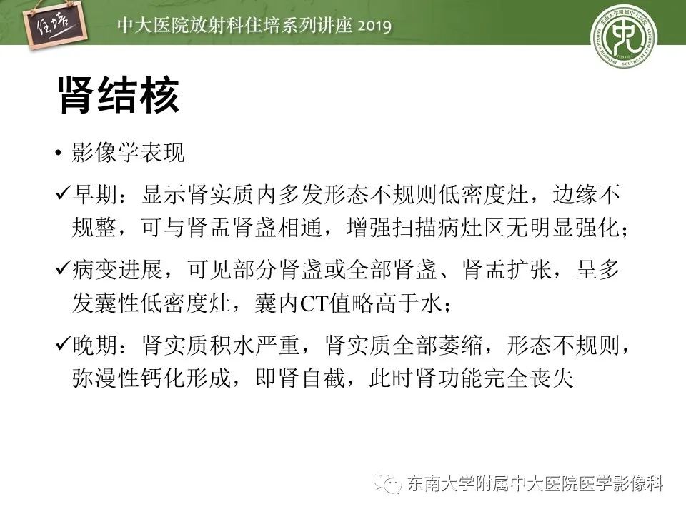 【PPT】肾脏感染性病变的影像学表现