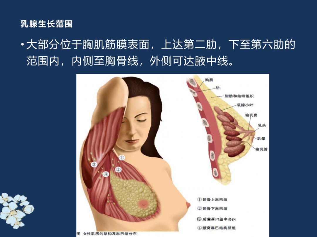 【PPT】MRI乳腺扫描技术