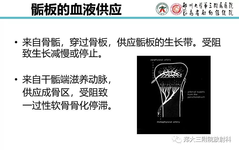 【PPT】骨骺损伤的影像诊断