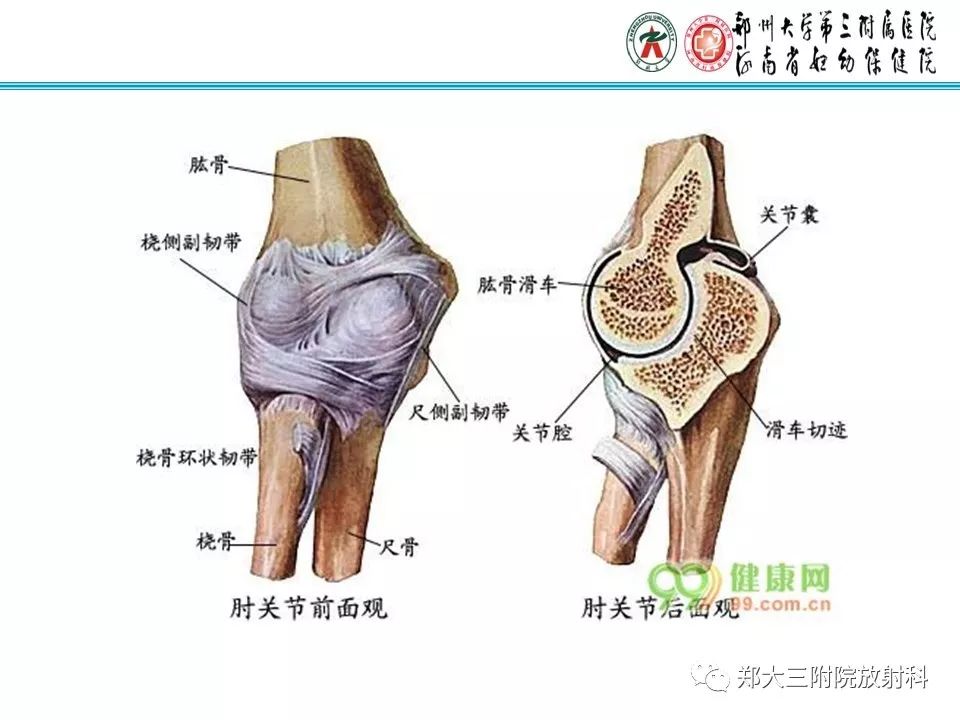 【PPT】儿童肘关节骨折的X线表现