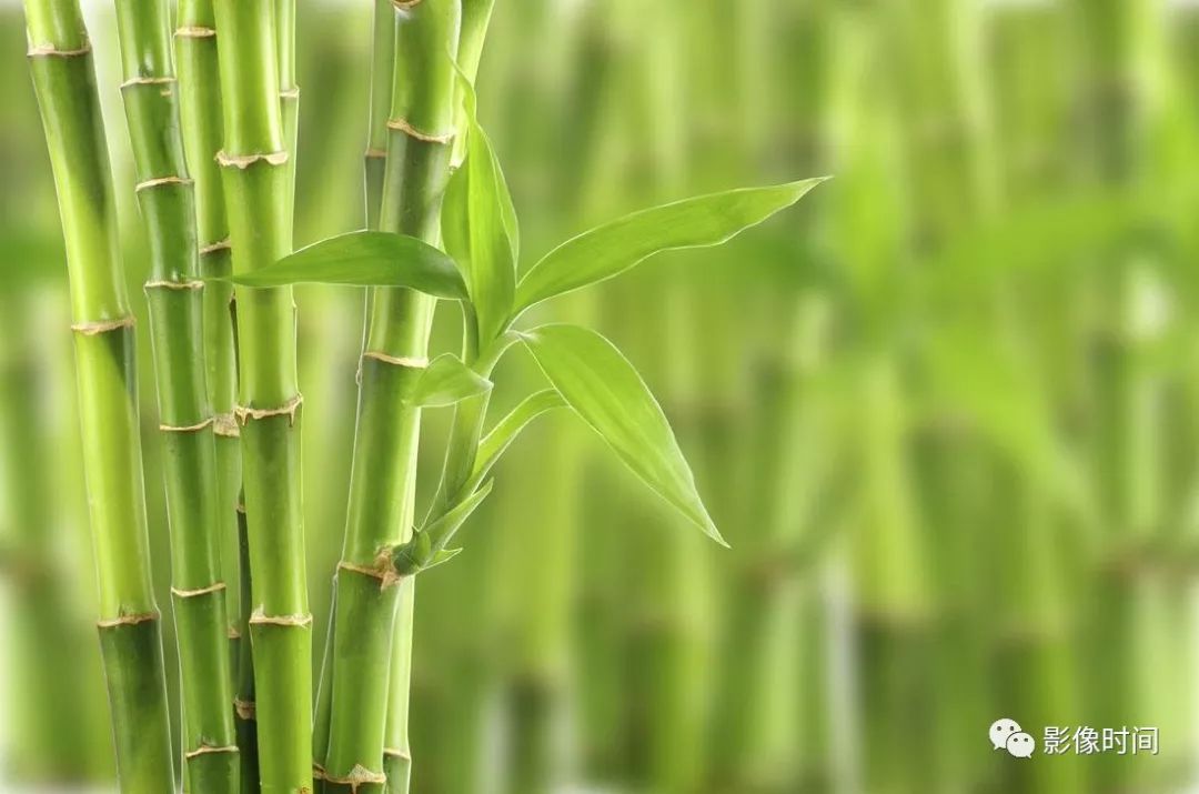 强直性脊柱炎的影像
