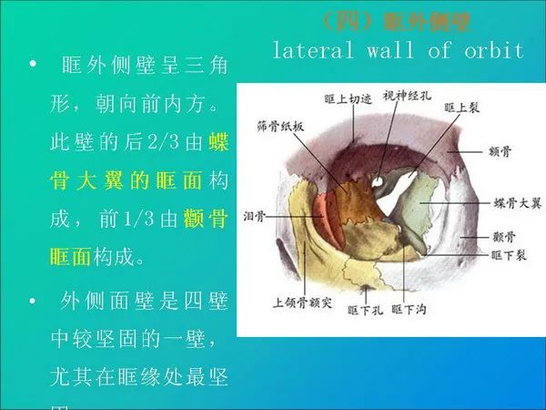 【PPT】常见眶内肿瘤影像诊断与鉴别诊断