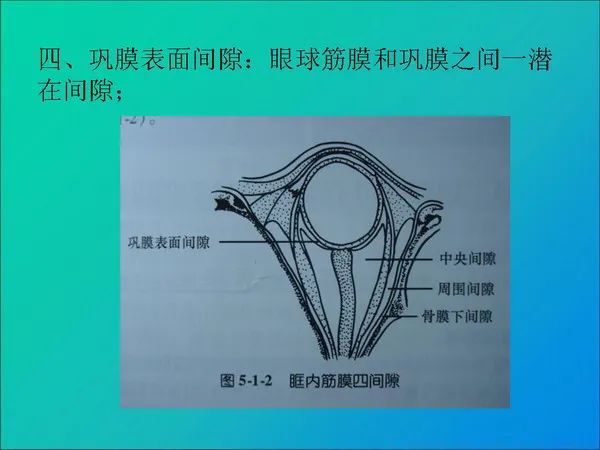 【PPT】常见眶内肿瘤影像诊断与鉴别诊断