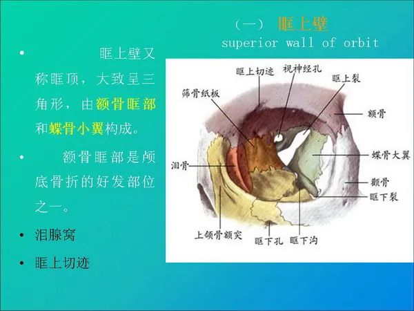 【PPT】常见眶内肿瘤影像诊断与鉴别诊断