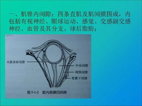【PPT】常见眶内肿瘤影像诊断与鉴别诊断
