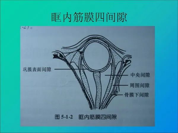 【PPT】常见眶内肿瘤影像诊断与鉴别诊断