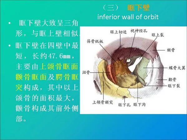 【PPT】常见眶内肿瘤影像诊断与鉴别诊断