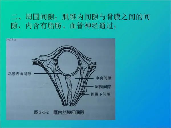 【PPT】常见眶内肿瘤影像诊断与鉴别诊断