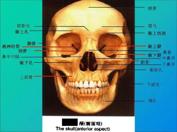 【PPT】常见眶内肿瘤影像诊断与鉴别诊断