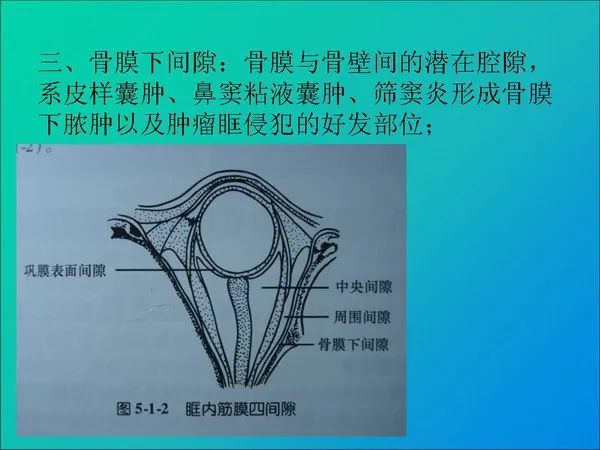 【PPT】常见眶内肿瘤影像诊断与鉴别诊断