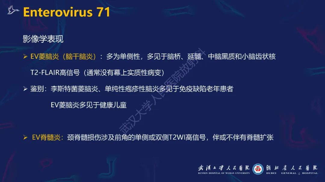 【PPT】新发和再发传染病神经影像学表现