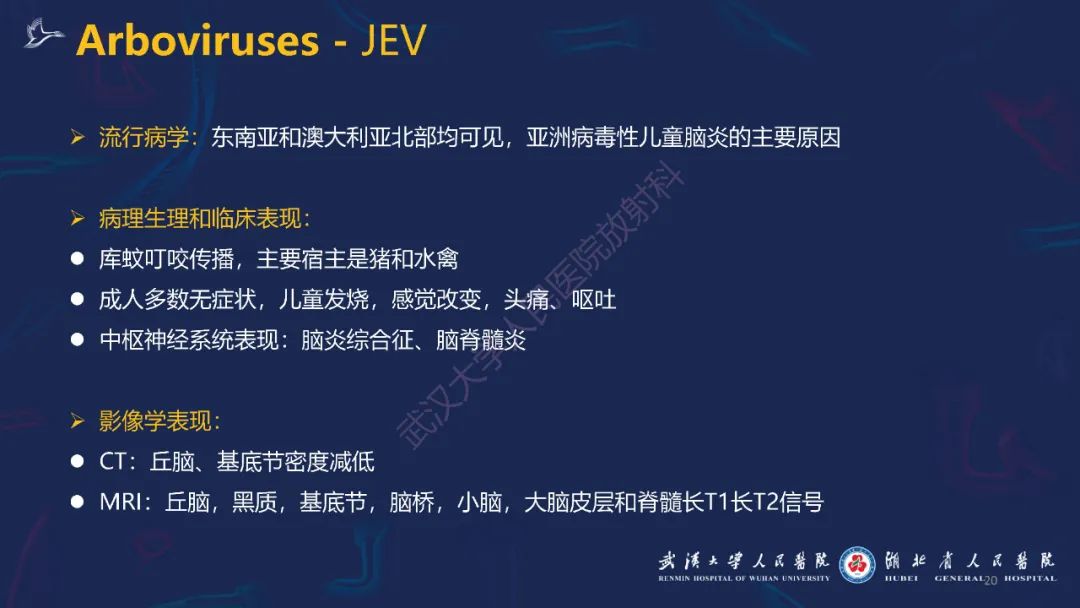 【PPT】新发和再发传染病神经影像学表现