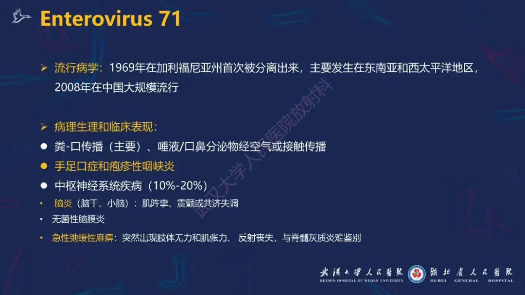 【PPT】新发和再发传染病神经影像学表现
