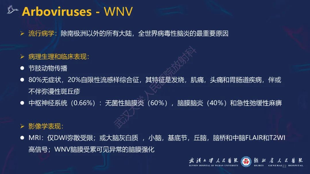 【PPT】新发和再发传染病神经影像学表现
