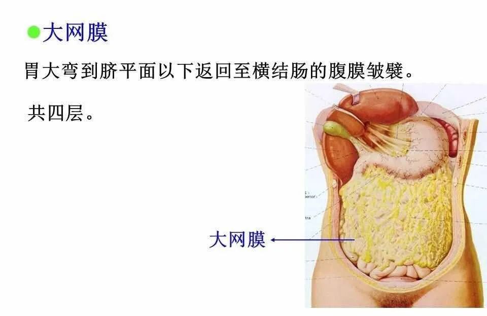 腹腔局灶性脂肪坏死的典型影像学征象及其鉴别诊断
