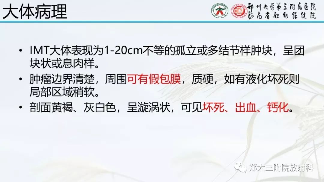 【PPT】炎性肌纤维母细胞瘤的影像表现 【PPT】炎性肌纤维母细胞瘤的影像表现