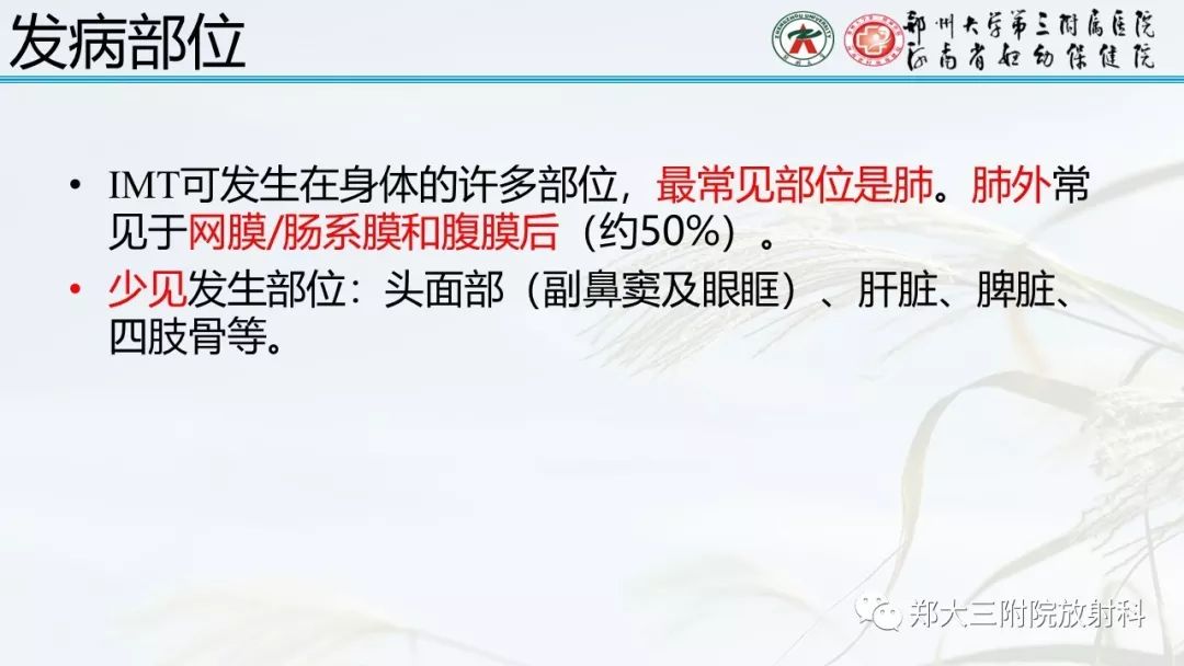 【PPT】炎性肌纤维母细胞瘤的影像表现 【PPT】炎性肌纤维母细胞瘤的影像表现