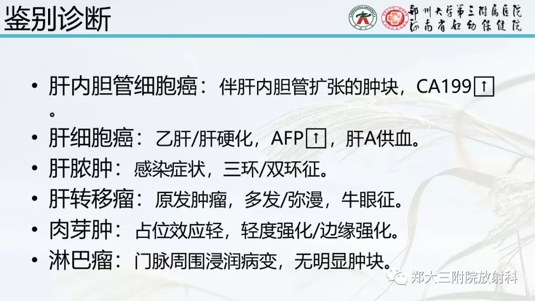 【PPT】炎性肌纤维母细胞瘤的影像表现 【PPT】炎性肌纤维母细胞瘤的影像表现