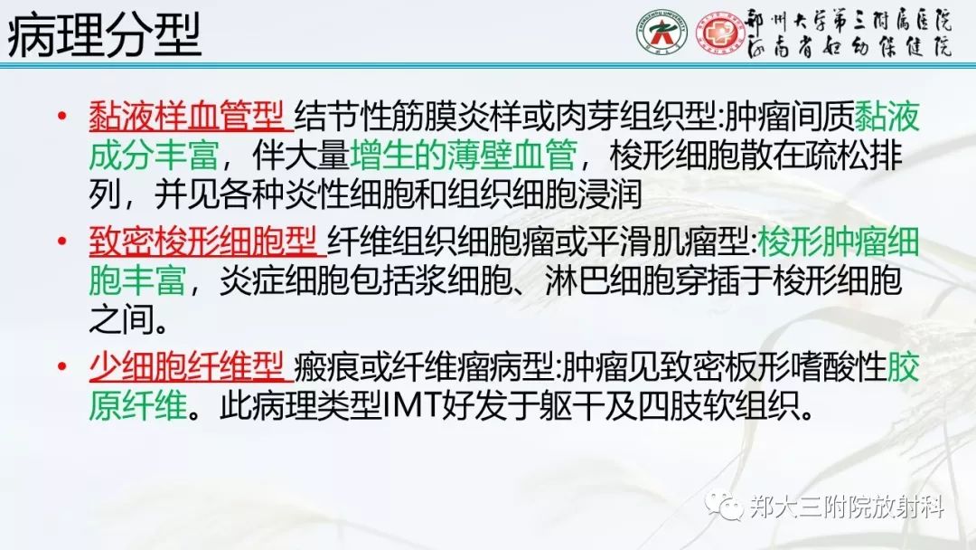 【PPT】炎性肌纤维母细胞瘤的影像表现 【PPT】炎性肌纤维母细胞瘤的影像表现