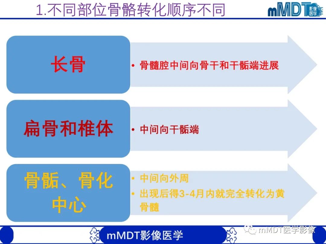 【PPT】骨髓的转化与逆转化
