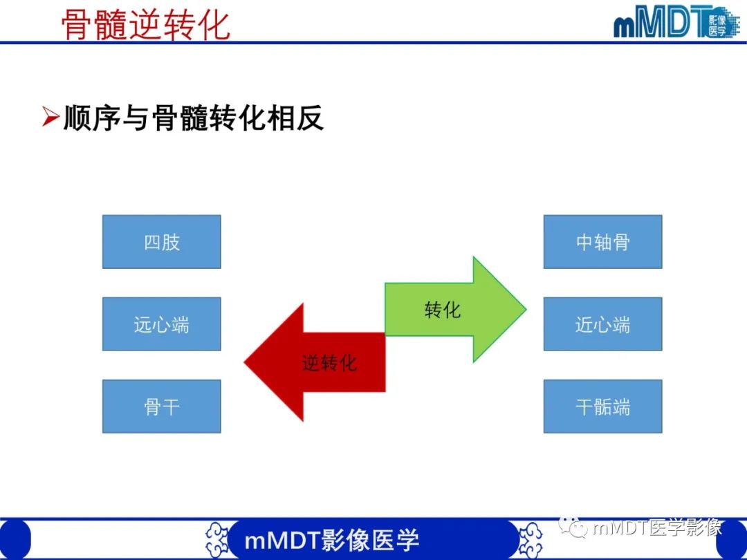 【PPT】骨髓的转化与逆转化