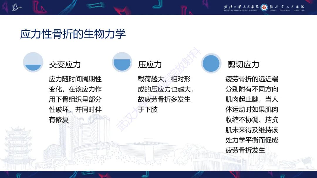 【PPT】应力性骨折影像学表现
