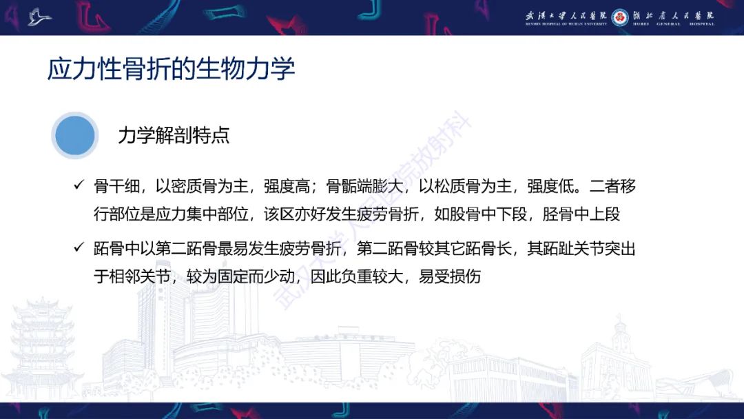 【PPT】应力性骨折影像学表现