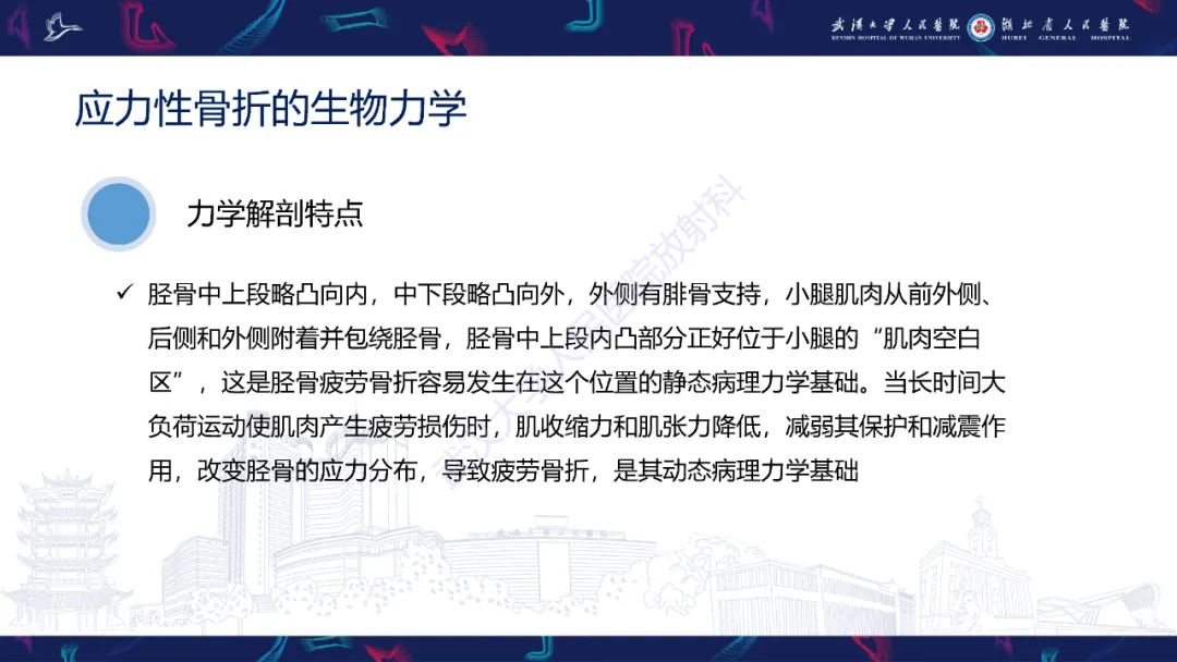 【PPT】应力性骨折影像学表现