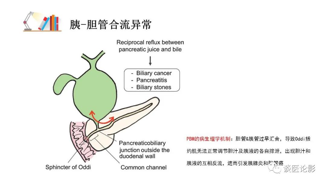 【PPT】胰—胆管合流异常影像表现